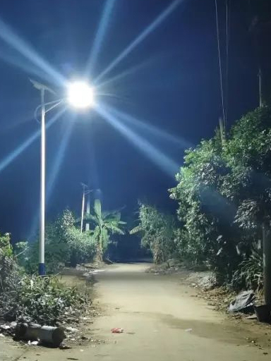 發(fā)家致富道上不抹黑，雁江這一村裝上太陽(yáng)能路燈